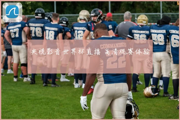 央视影音世界杯直播 高清观赛体验